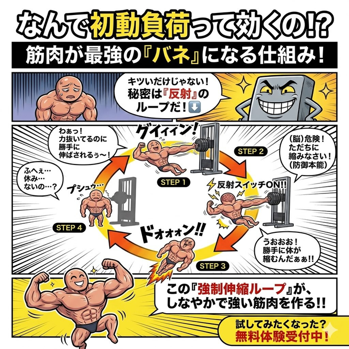 画像826